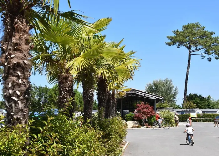 Mobil Xxl 4 - Camping Les Viviers Campsite