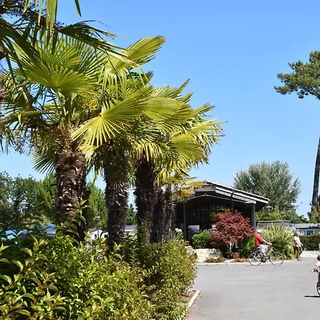 Mobil Xxl 4 - Camping Les Viviers Campsite